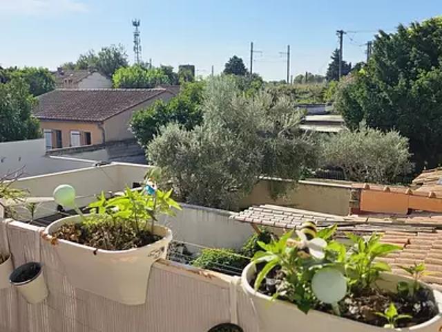 Avignon 84000 Achat / Vente maison 3 pièces t3
