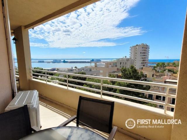 Avinguda de Gabriel Roca, 45, Palma de Mallorca, Balearic Islands 07015