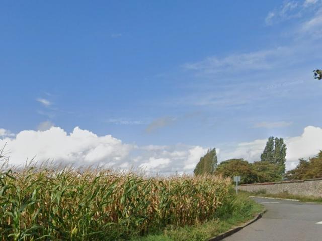 Avrainville Vente Terrain 91