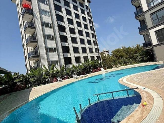 Avsallarda acil satılık iskanlı 50.000