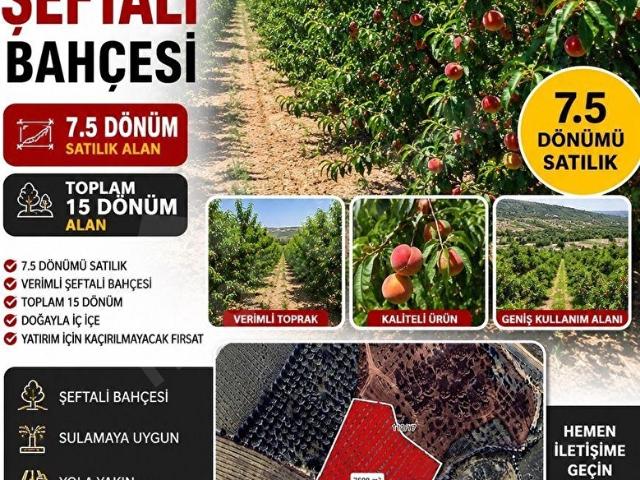 AY EMLAK'TAN KARADİRLİK MAHALLESİNDE 7.5 DÖNÜMÜ SATILIK TARLA