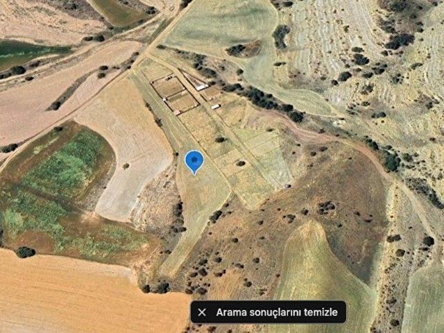AYAŞ ÇANILLI ULUYOL TEK TAPU SATILIK TARLA 3554 M2