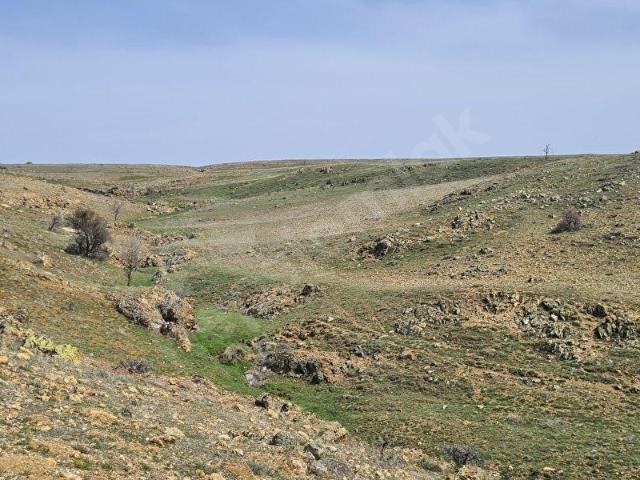 Ayaş Başayaş Mah. 4252m2 Tek Tapu Satılık Tarla