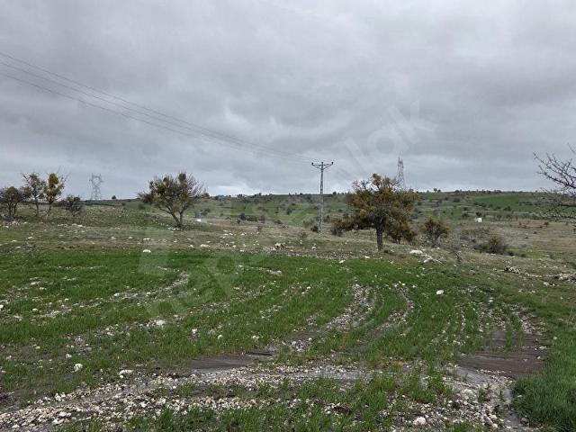 Ayaş Başayaş Mah.120 Ada 225 Parsel 666m2 Hisse Tapulu Tarla