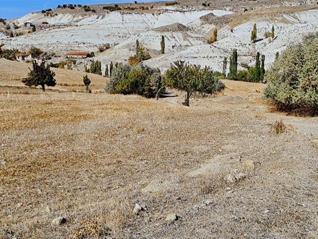 Ayaş Başayaş Mah.147 Ada 7 Parsel 329m2 Bahçelik Hisse Tapulu