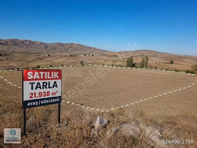 AYAŞ GÖKLER MAH'DE 21.938 M2 TEP TAPU TARLA.