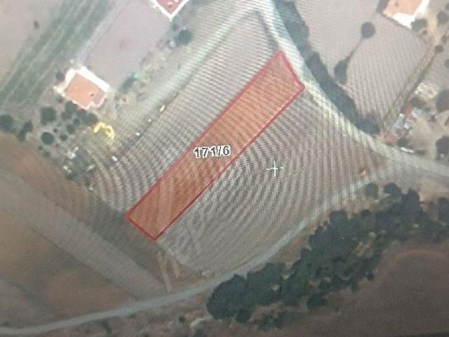 AYAŞ FERUZ MAHALLESİNDE ACİL SATILIK TEK TAPU 2253 M2.PARSEL YOLU OLAN TARLA