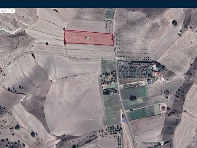 Ayaş Pınaryakada Yol Üzeri 5010 m2 Müstakil Parsel Satılık Tarla