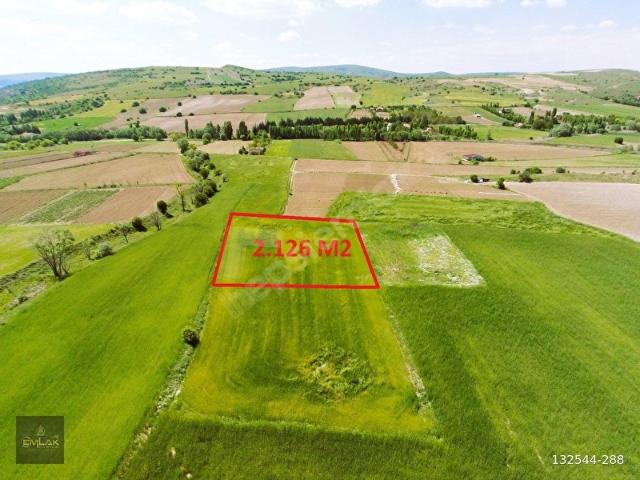 AYAŞ PINARYAKADA TEK TAPU 2.126 m2 TARLA