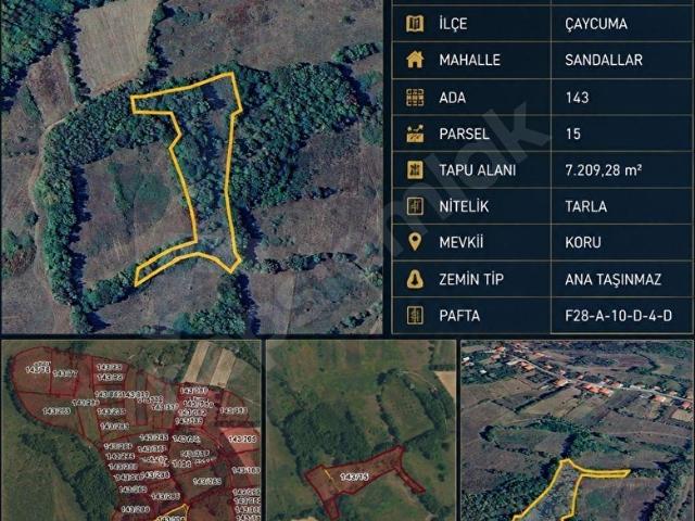 ÇAYCUMA SANDALLAR'DA 7.209 m SATILIK YATIRIMLIK TARLA