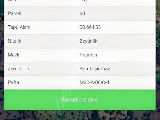 Aydın Köşk Cumaderesinde Satılık Zeytinlik