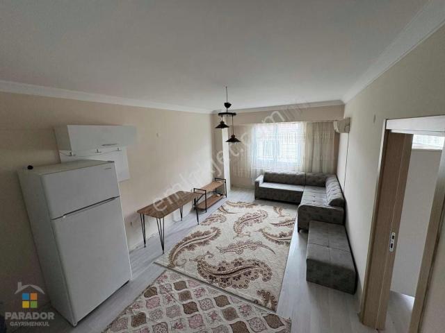 Aydın Nazilli İsabeyli Mahallesinde 1+1 Eşyalı Satılık Daire