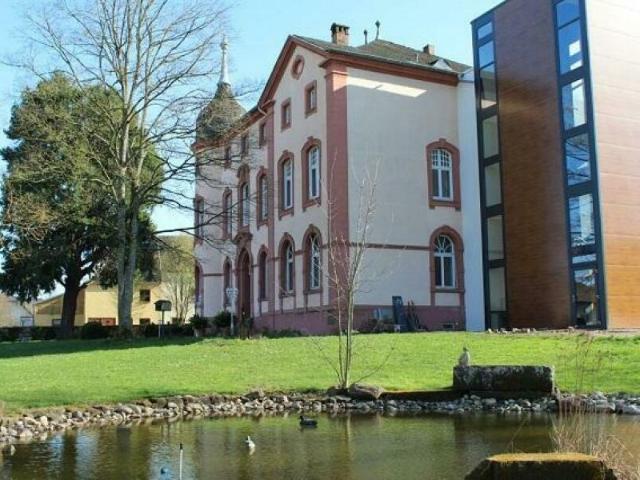 Ayl a.d. Saar modernes Wohnen in exklusivem Ambiente 1 Zimmer Apartment in Schloß Ayl
