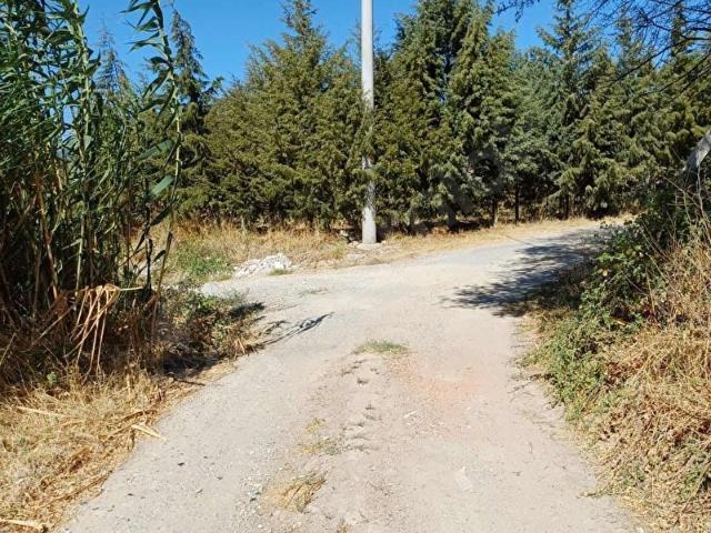 AYRANCILAR GÜNEŞ EMLAKTAN DEMİRCİKÖY MEVKİNDE MÜSTAKİL TARLA