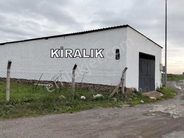 Ayvalık Küçüköy Kiralık Dükkan İş Yeri