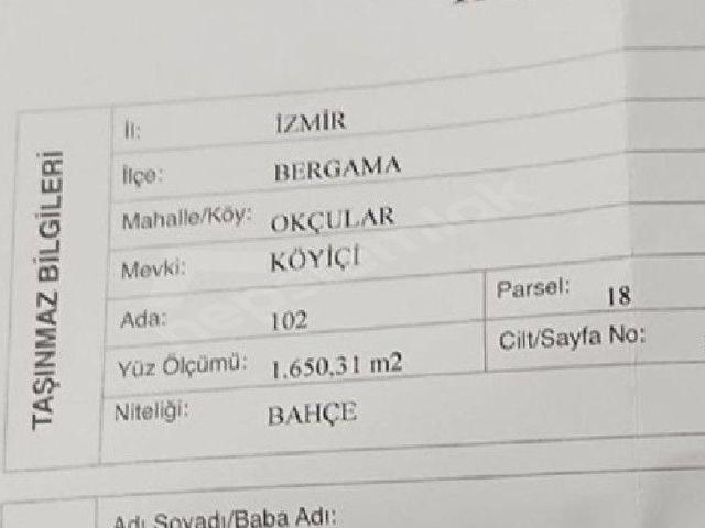 AYVALIK EFSANE EMLAKTAN SATLIK BAHCE