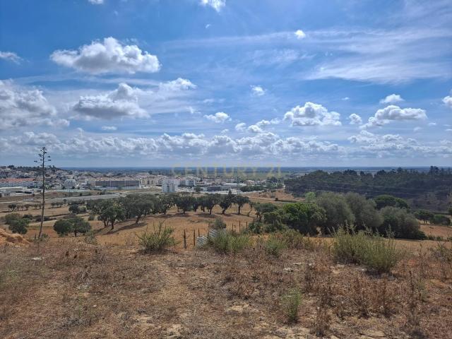 Azambuja | Terrenos vendidos em conjunto com 124.520m2 | Vistas sobre a cidade e a lezíria
