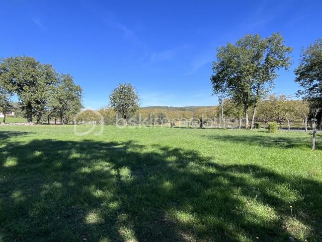 Azerat Vente Terrain 24
