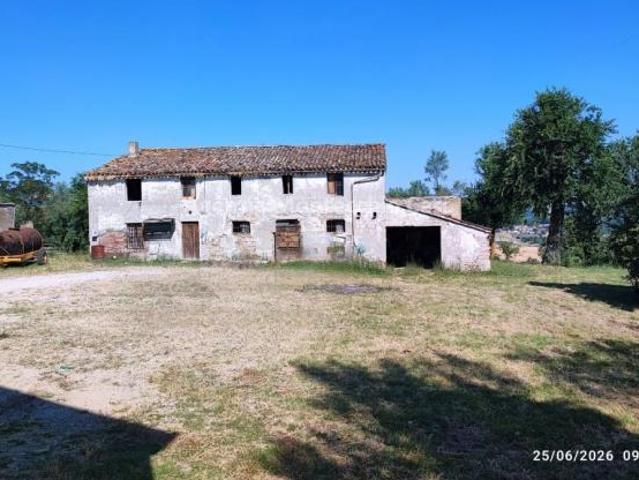 Azienda agricola con casa fienile e 26 ettari circa di terreno agricolo