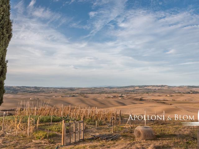 Azienda agricola con ruderi e seminativo, Gavorrano, Grosset. 1000m² Gavorrano