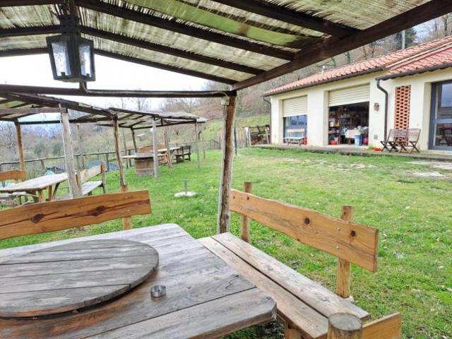 AZIENDA AGRICOLA di 8 vani e di 180 mq VICCHIO rif. AAJ265