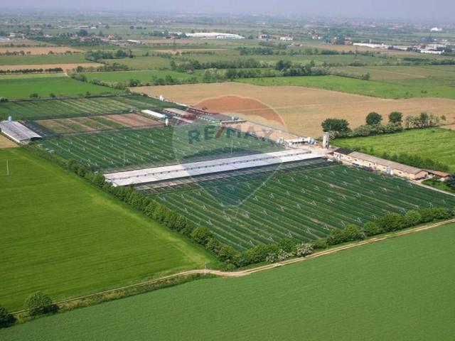 Azienda agricola in vendita a Treviglio