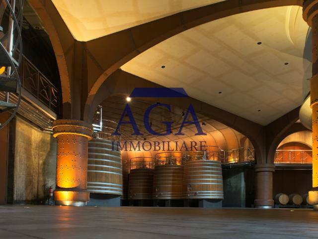 AZIENDA AGRICOLA in VENDITA a VALDOBBIADENE