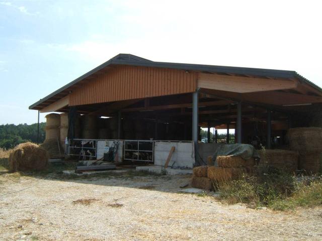 Azienda agricola in vendita a Valfabbrica
