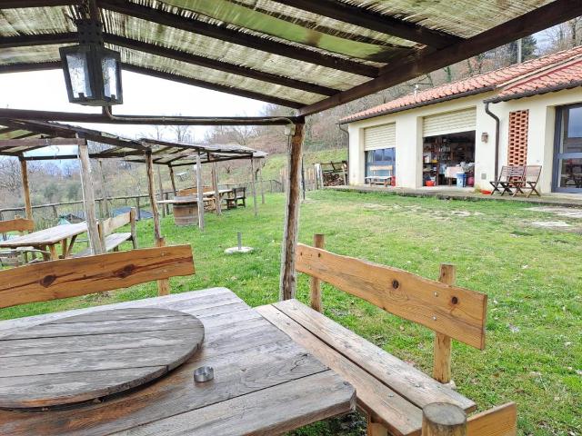 AZIENDA AGRICOLA in VENDITA a VICCHIO VICCHIO