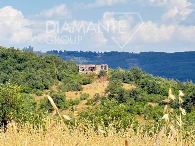 Azienda agricola in vendita a Acquapendente
