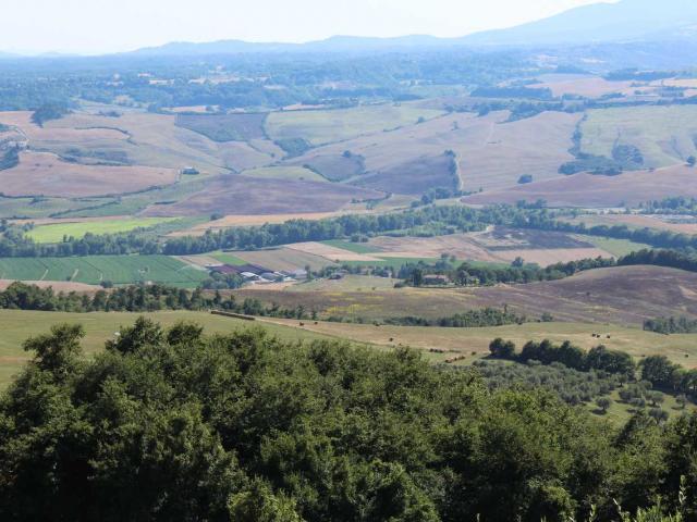 AZIENDA AGRICOLA in VENDITA a ACQUAPENDENTE