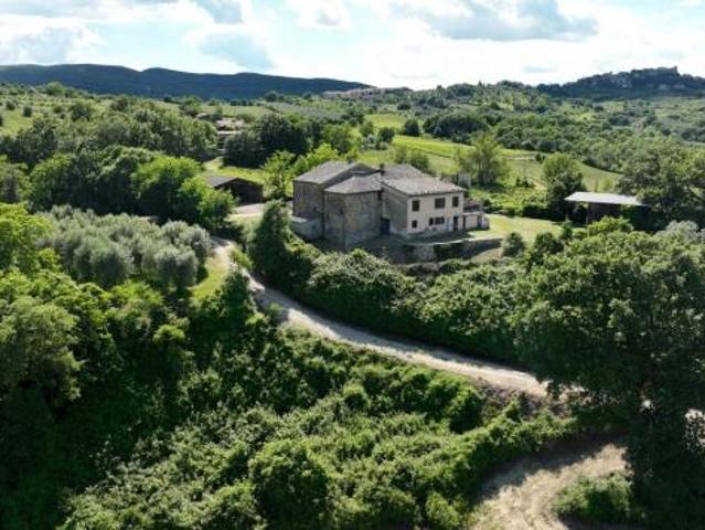 Azienda Agricola in vendita a Allerona