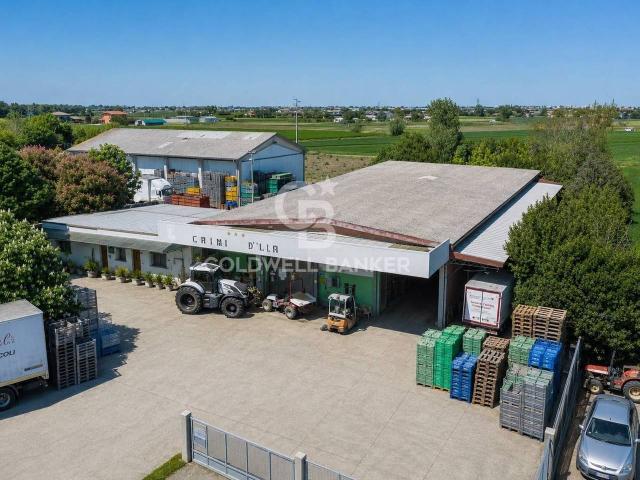 Azienda agricola in vendita a Bellaria Igea Marina