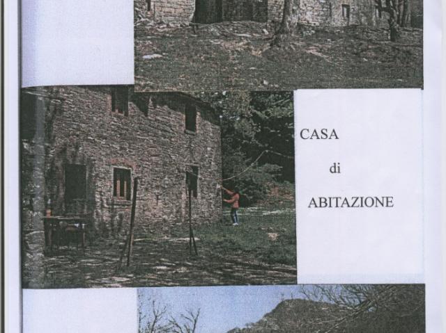AZIENDA AGRICOLA in VENDITA a BORGO SAN LORENZO