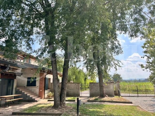 Azienda agricola in vendita a Borgonovo Val Tidone