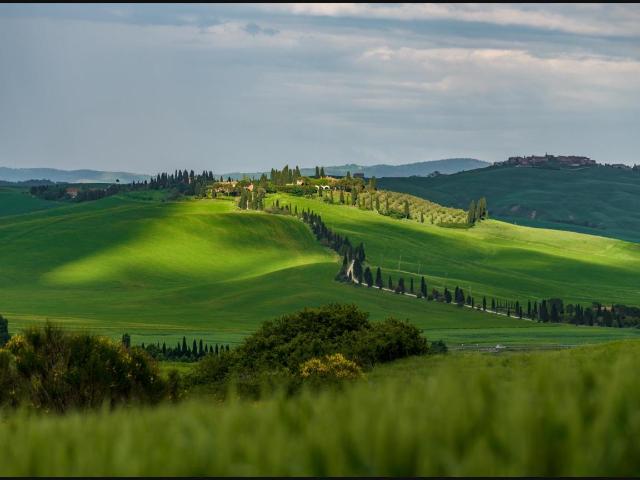 Azienda agricola in vendita a Buonconvento