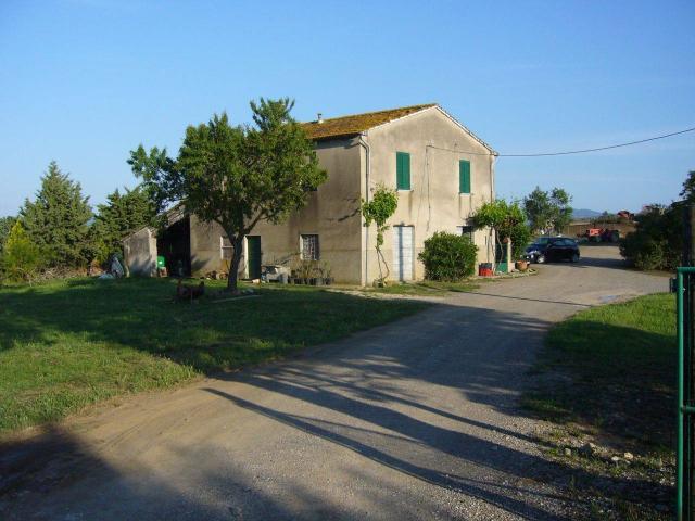 Azienda agricola in vendita a Campagnatico
