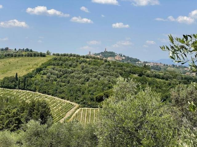 Azienda agricola in vendita a Calenzano San Miniato 103509 mq Rif: 1141079