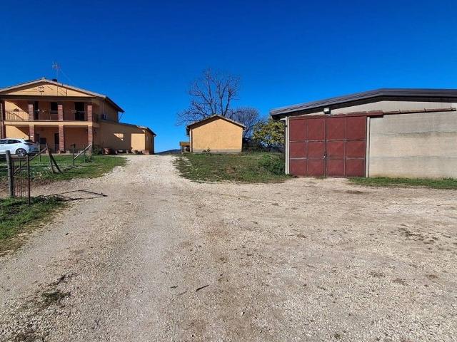 Azienda agricola in vendita a Capalbio