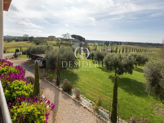AZIENDA AGRICOLA in VENDITA a CAPALBIO LA TORBA