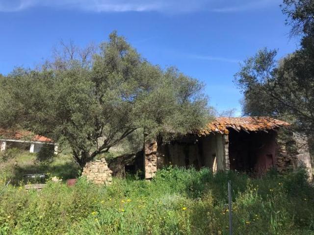 Azienda agricola in vendita a Capichera Arzachena 250 mq Rif: 1370417
