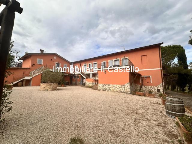 Azienda agricola in vendita a Castiglione Del Lago