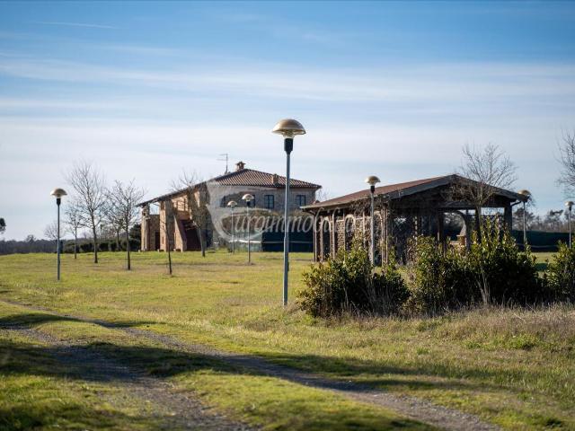 Azienda agricola in vendita a Castiglione Del Lago