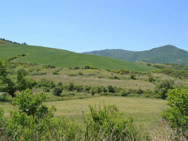 Azienda agricola in vendita a Castiglione D'Orcia