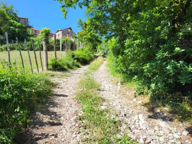 Azienda agricola in vendita a Chiusi Della Verna