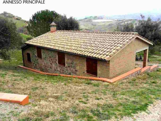 Azienda agricola in vendita a Cinigiano