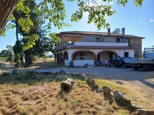 Azienda agricola in vendita a Cinigiano