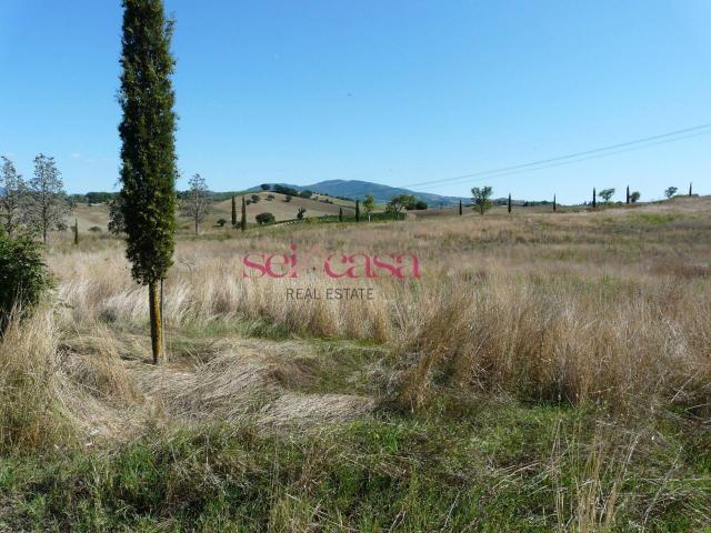 Azienda agricola in vendita a Cinigiano