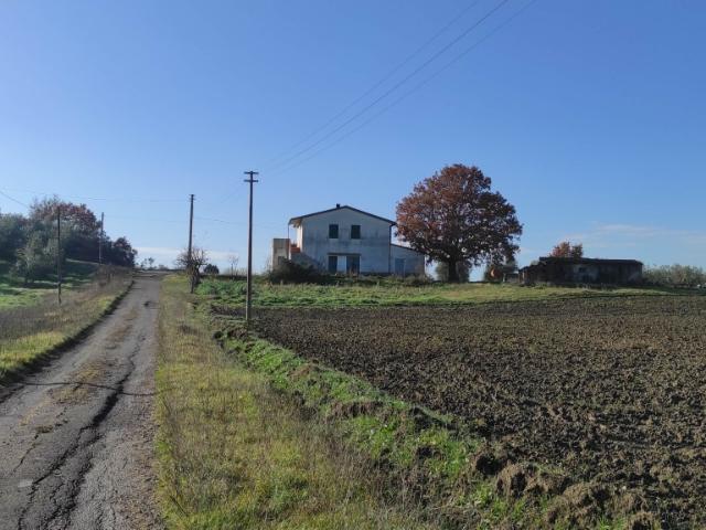 AZIENDA AGRICOLA in VENDITA a CINIGIANO CASTELLO DI PORRONA