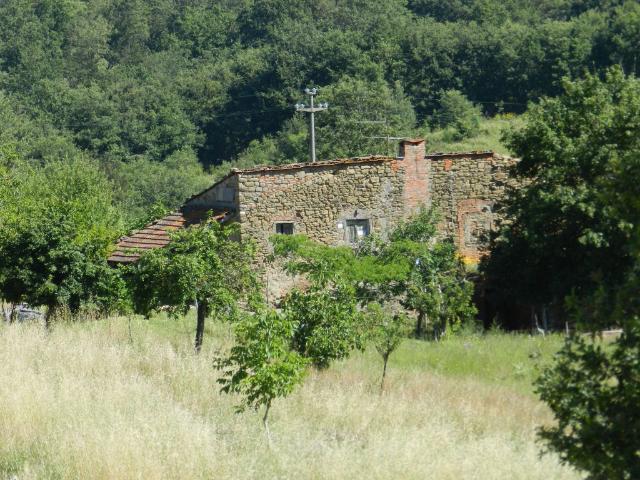 AZIENDA AGRICOLA in VENDITA a CIVITELLA IN VAL DI CHIANA